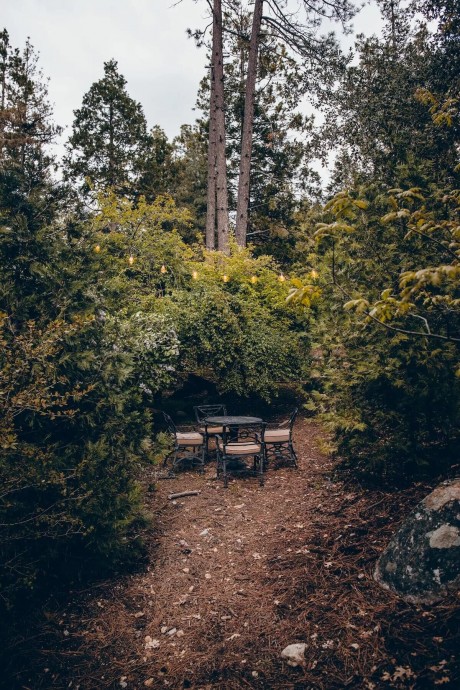Хижина в окружении сосен в Калифорнии