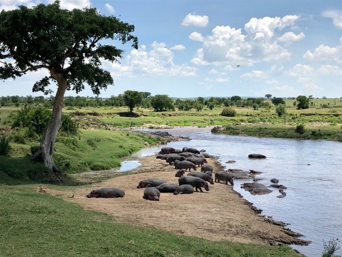 Лодж на реке Сингита Мара в национальном парке Серенгети, Танзания