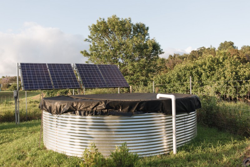 Домик площадью 33 м2 на острове Мауи на ГавайяхДомик площадью 33 м2 на острове Мауи на Гавайях