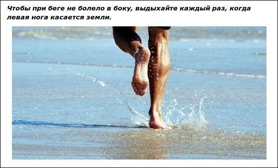 Идеи для жизни Идеи для жизни