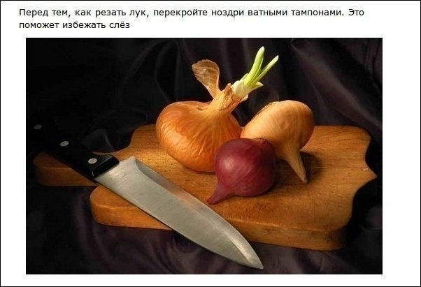 Идеи для жизни Идеи для жизни