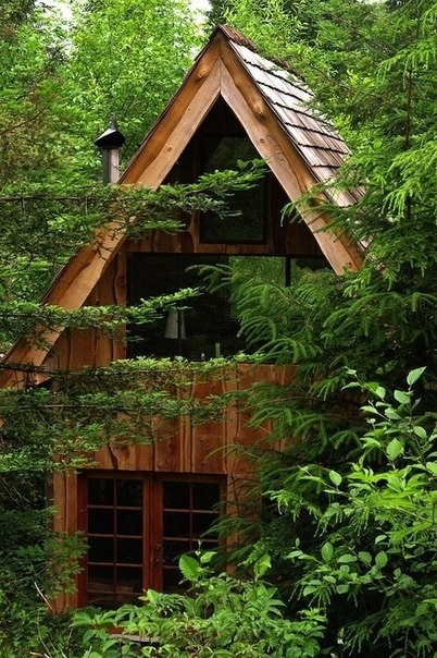 Бюджетный домик в лесу 