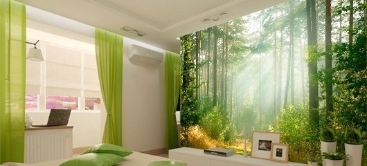 Природные мотивы в интерьере Природные мотивы в интерьере