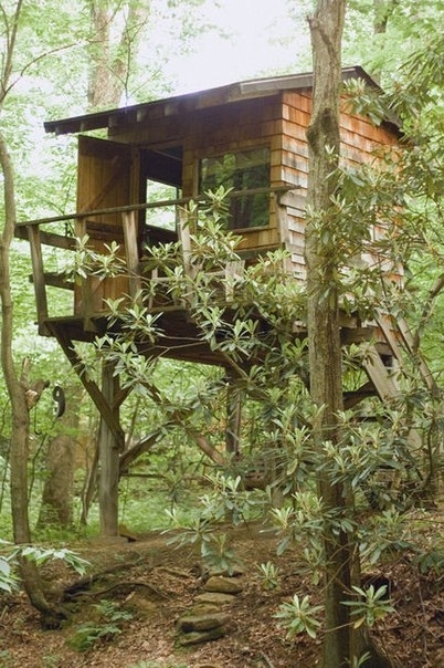 Уютные лесные домики
