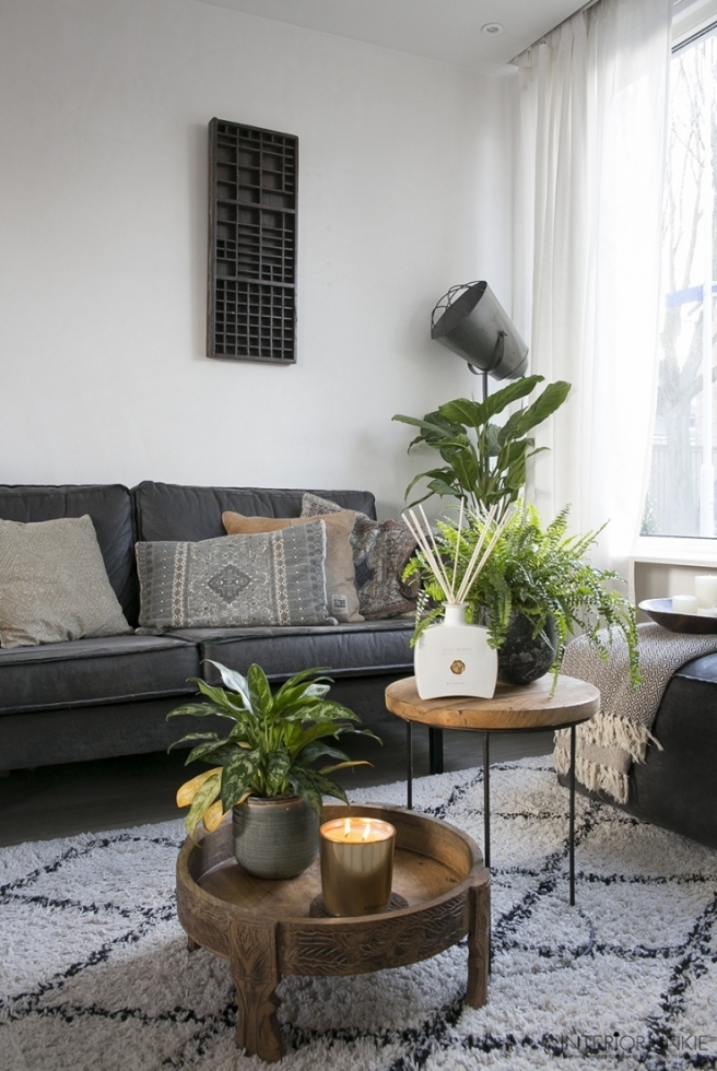 Дом в Дании