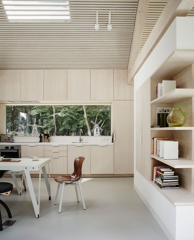 Дом со стеклянными стенами посреди лесной сказки