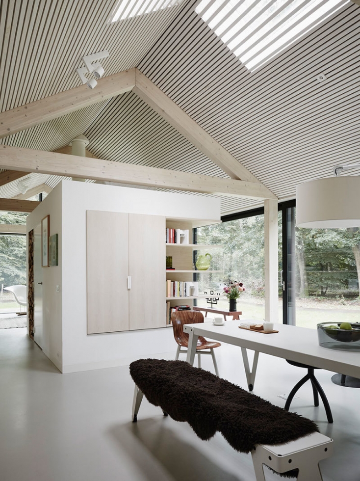 Дом со стеклянными стенами посреди лесной сказки