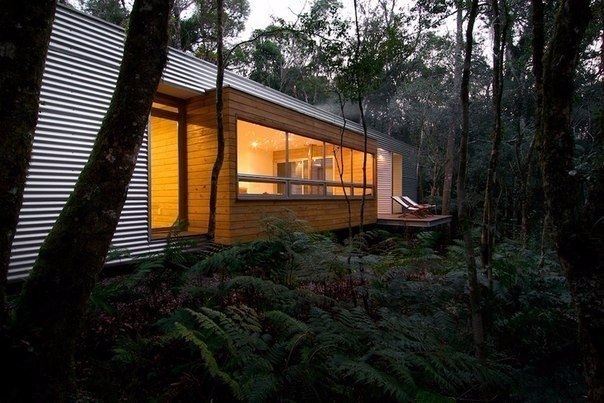 Современная хижина в лесу Современная хижина в лесу