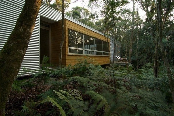 Современная хижина в лесу Современная хижина в лесу